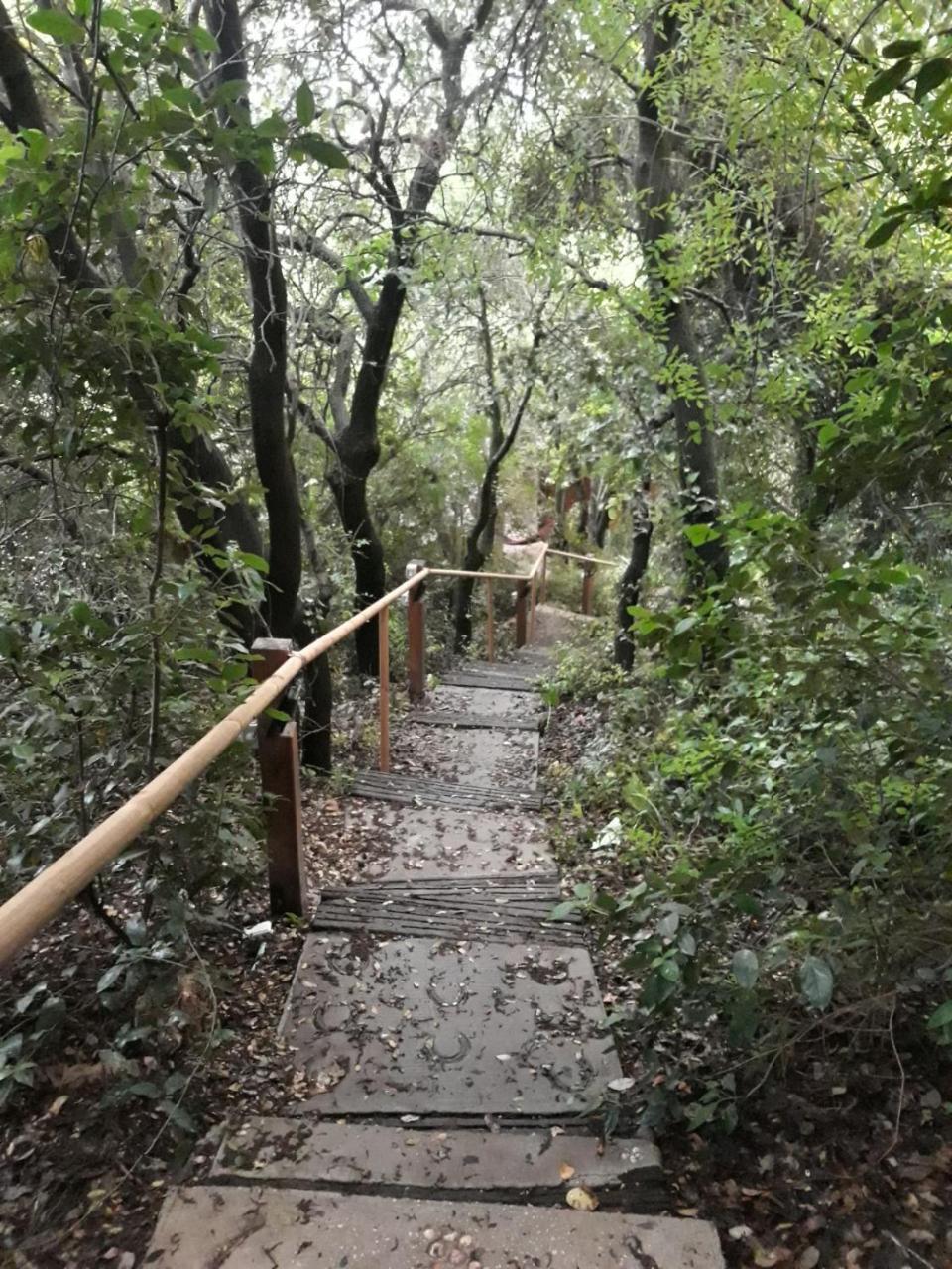פסגת מתת Pisgat Mattat Villa Buitenkant foto