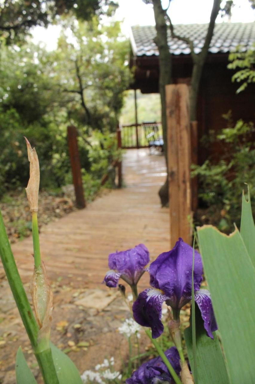 פסגת מתת Pisgat Mattat Villa Buitenkant foto