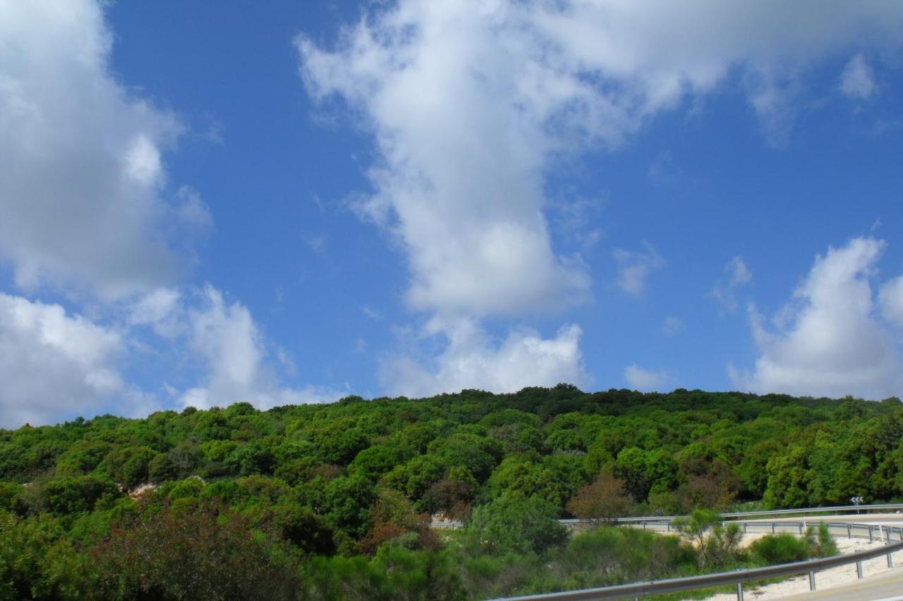 פסגת מתת Pisgat Mattat Villa Buitenkant foto